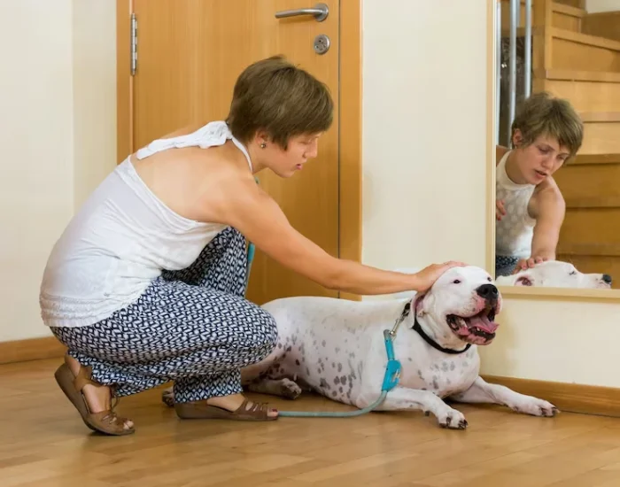 Crisis Relocation Planning for Owners Under Pressure