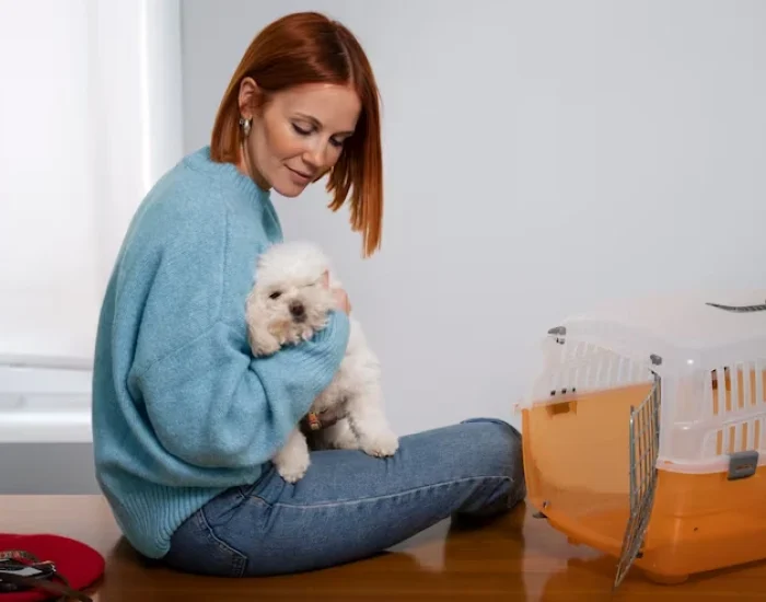 Custom Crate Preparation and Comfort Setup