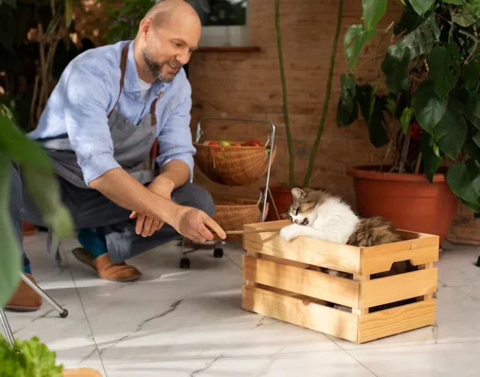 Custom Crate Specification and Welfare Preparation of pets