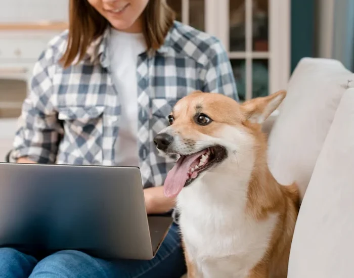 Custom Travel Crate Design and Preparationm