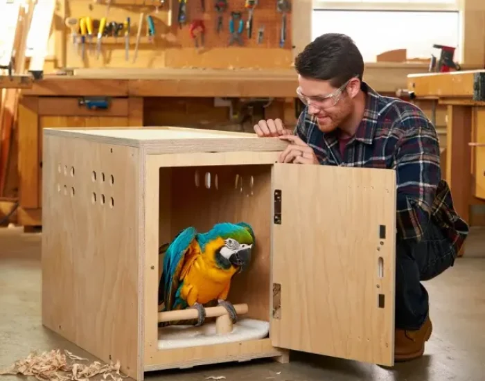 Custom Travel Crate Design for Large Parrots