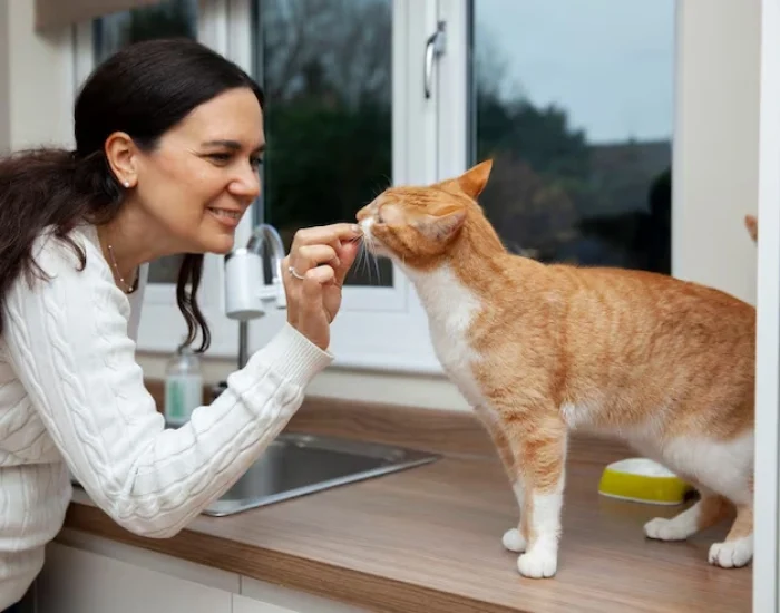 Custom Travel Crate Preparation and Fit Assessment