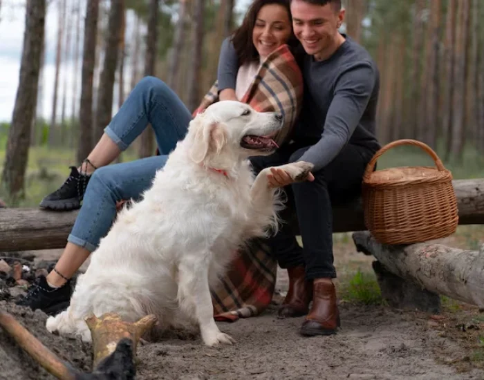 Custom Travel Crates and Comfort Preparation