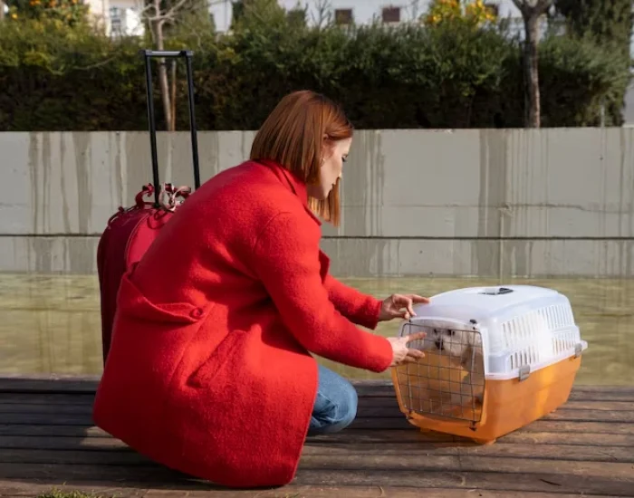 Custom Travel Crates and Equipmentoi