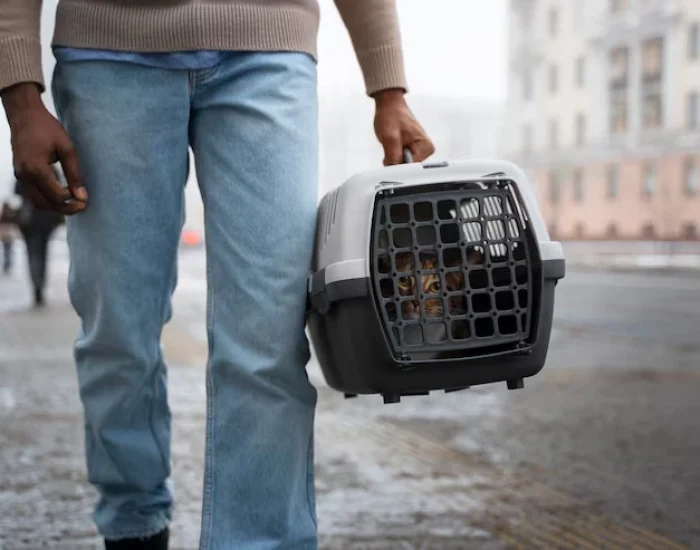 Custom Travel Crates and Safety Geardr