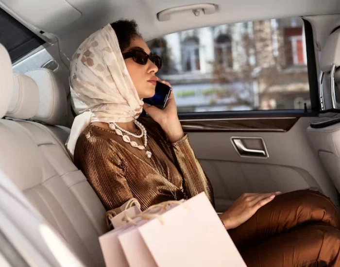 Custom Travel Planning for Luxury Cat Transport Sa