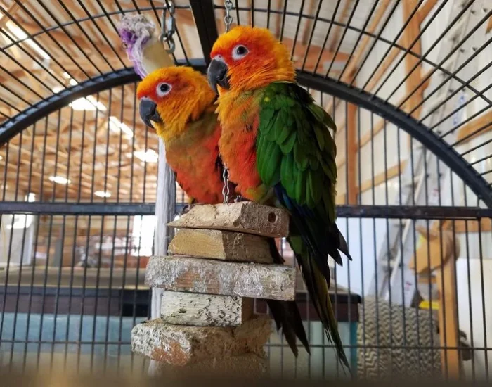 Customised Pre-Flight Preparation