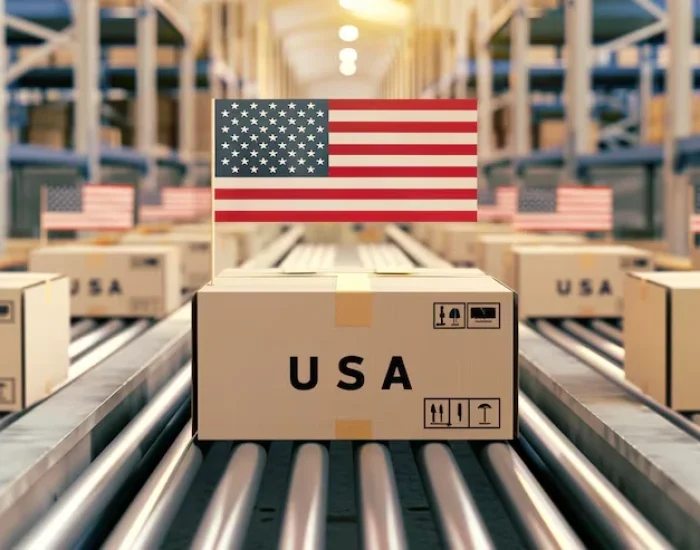 Customs Clearance Support in the USA