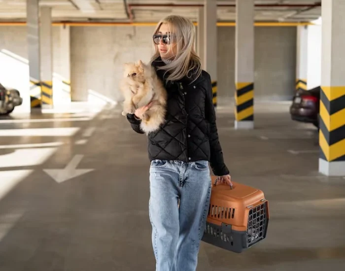 Customs Clearance and Arrival Handling