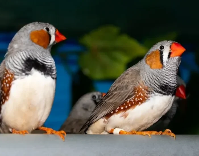 Customs Clearance and Arrival Support in Dubai