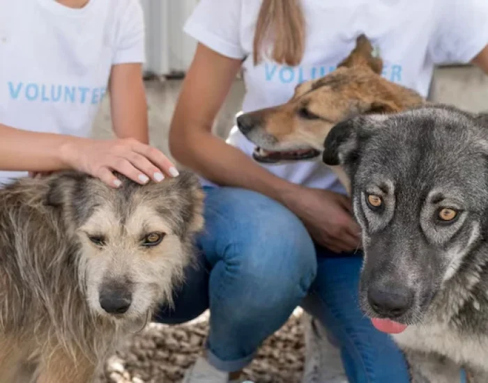 Customs Clearance and Import Handling