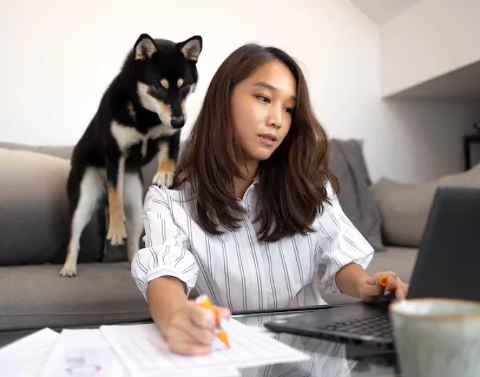 Customs Clearance and Permit Coordinationm