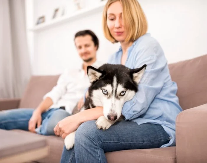 Customs Clearance and Quarantine Coordination in Singapore