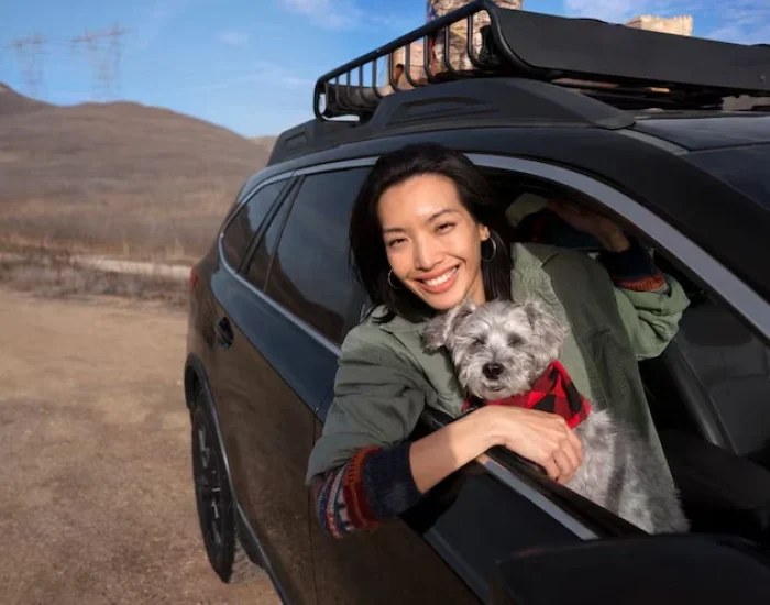 Customs Clearance and UAE Entry Handling