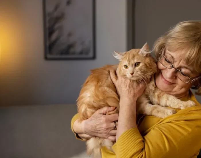 Customs Clearance at Zurich Airport