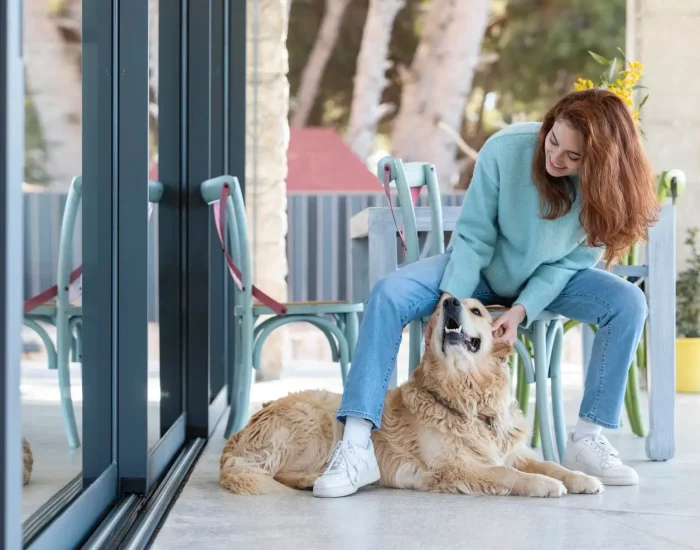 Customs and Immigration Liaison for Pets