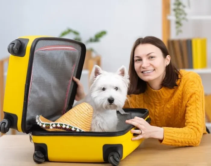 DEFRA Export Documentation Handling