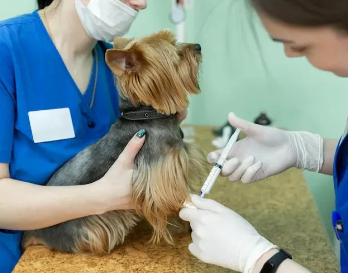 DEFRA Export Documentation and Certification