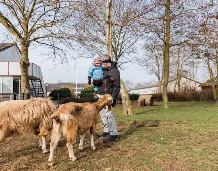 Dedicated Alpaca Relocation for Farms and Estates