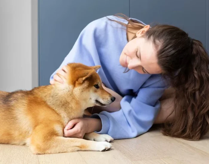 Dedicated Private Jet Pet Transport Planning