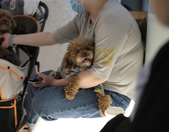 Departure-Day Management and Airport Oversight