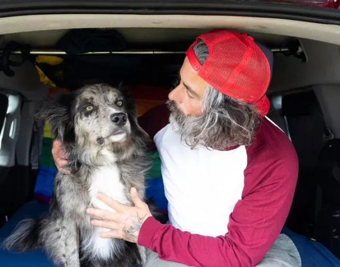 Destination Arrival Support