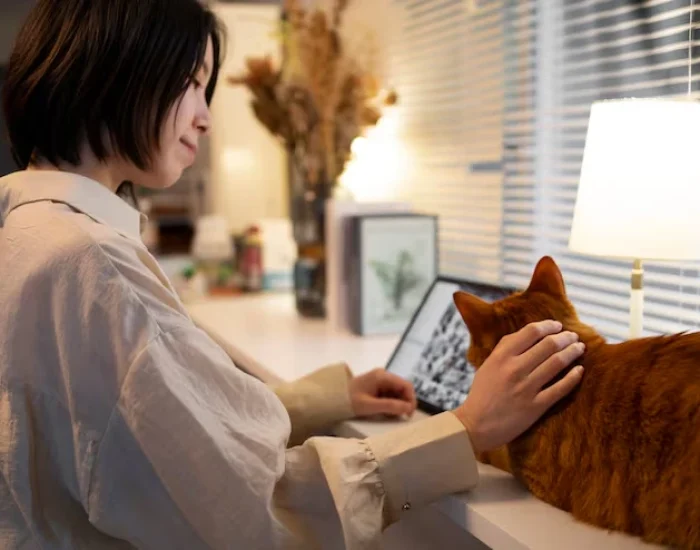 Destination Delivery and On Arrival Support