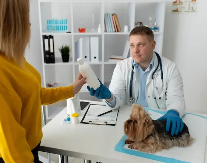 Documentation Audit and Post-Arrival Assistance