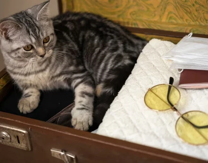 Documentation and Compliance Handlinghq