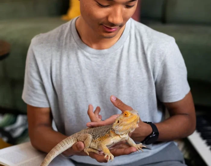 Documentation and Customs Management for reptiles