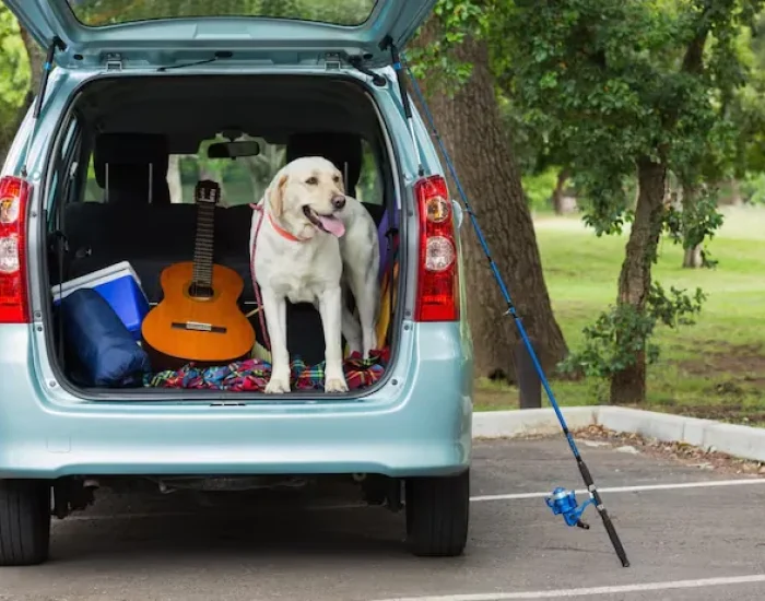 Documentation and Customs Processing