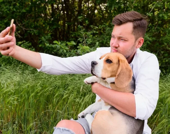 Domestic Animal Transport