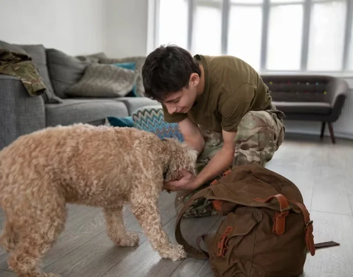 Domestic Pet Transport Across the USA