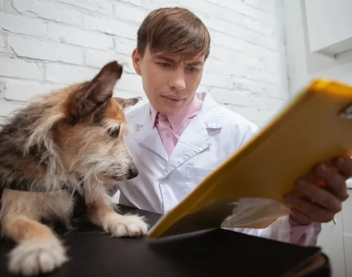 Door Pickup and Final Delivery