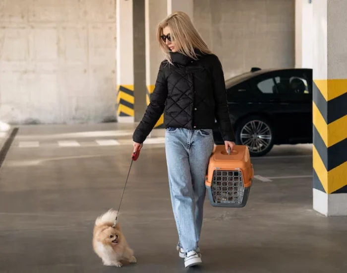 Door-to-Door Ground Transport from UK to Netherlands