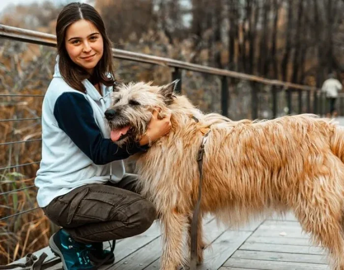 Door-to-Door Pet Relocation Logistics