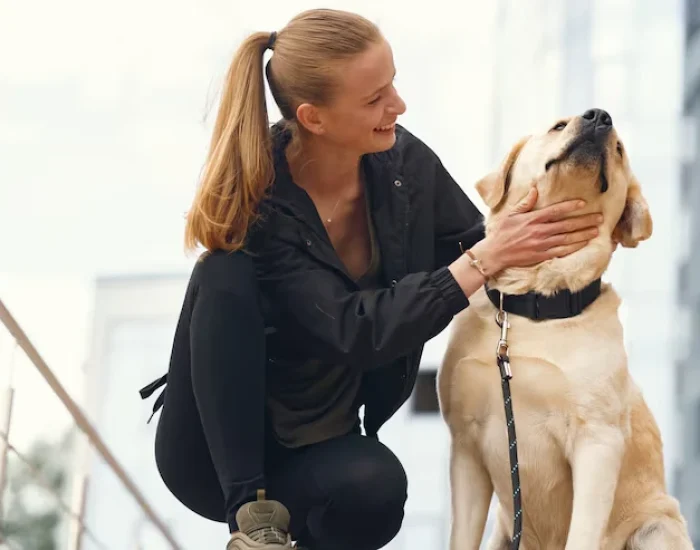 Door-to-Door Pet Relocation Managementst