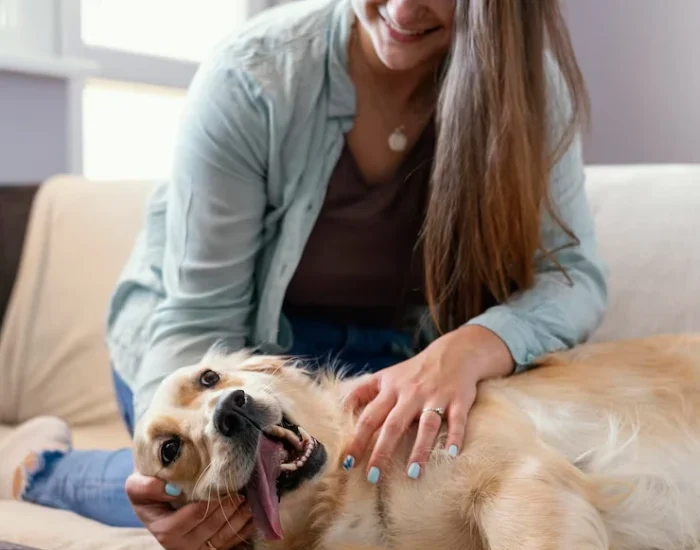 Door-to-Door Pet Transport USA to London