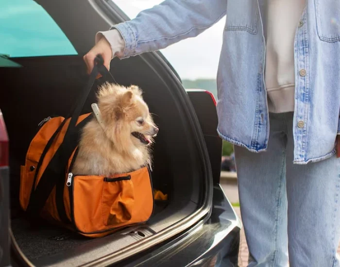 Door-to-Door Pet Transport from UK to Croatia