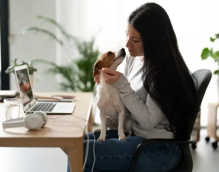 Door-to-Door Transport Between Birmingham and Doha