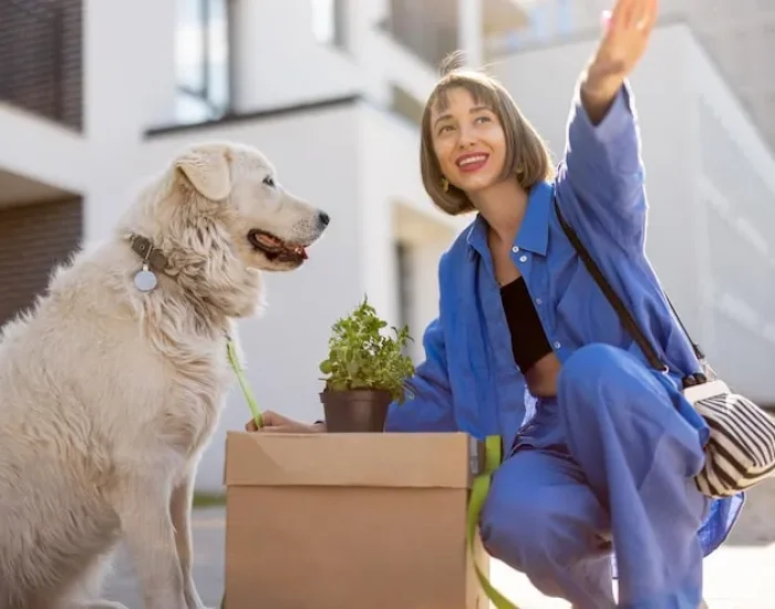 Door-to-Door Transport