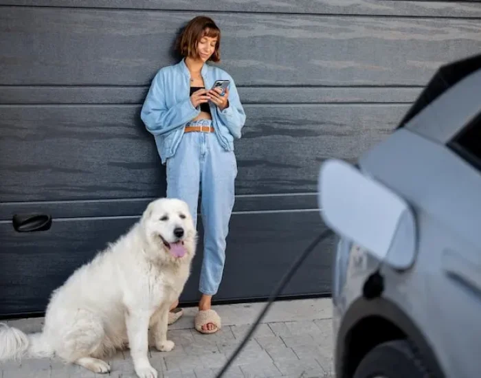 Dubai Arrival Handling and Clearance Support