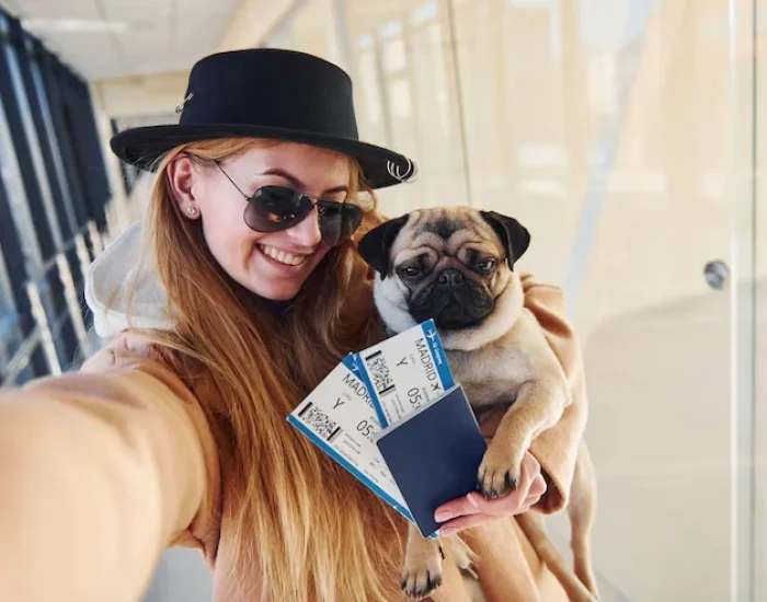 EU Pet Travel Compliance Management