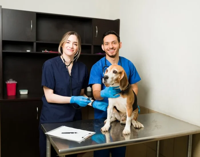 Multi-Pet and Family Travel Planningf