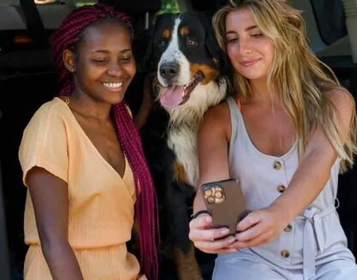 End-to-End Luton Pet Relocation Plannings