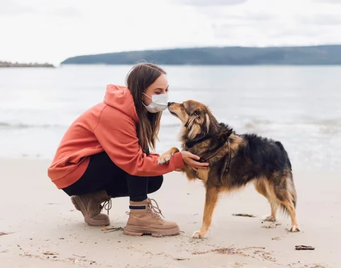 Export Documentation and DEFRA Certification Management​
