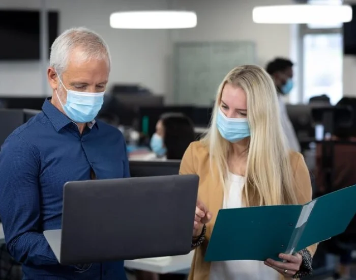 Export Health Certificate Coordination in the UK