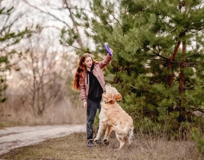 Export Permit Processing in Qatar ​