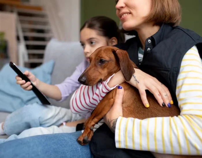 Export and Import Permit Coordination