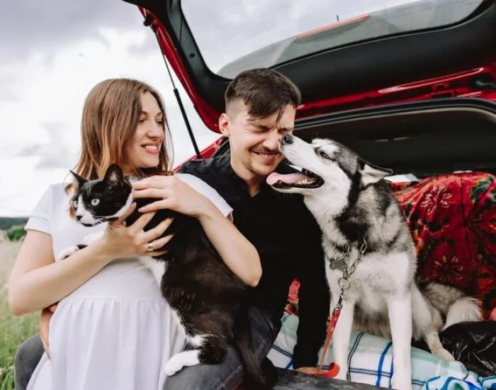 Flight Booking & Airline Liaison